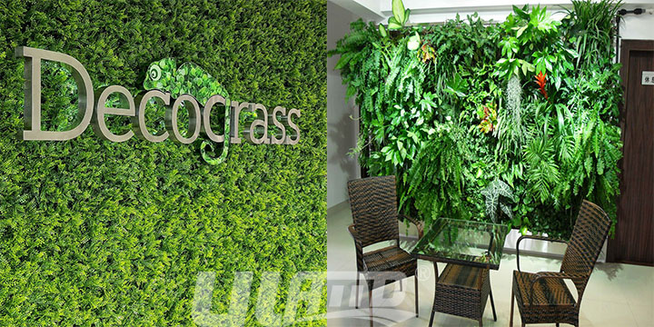 仿真植物墻對比圖