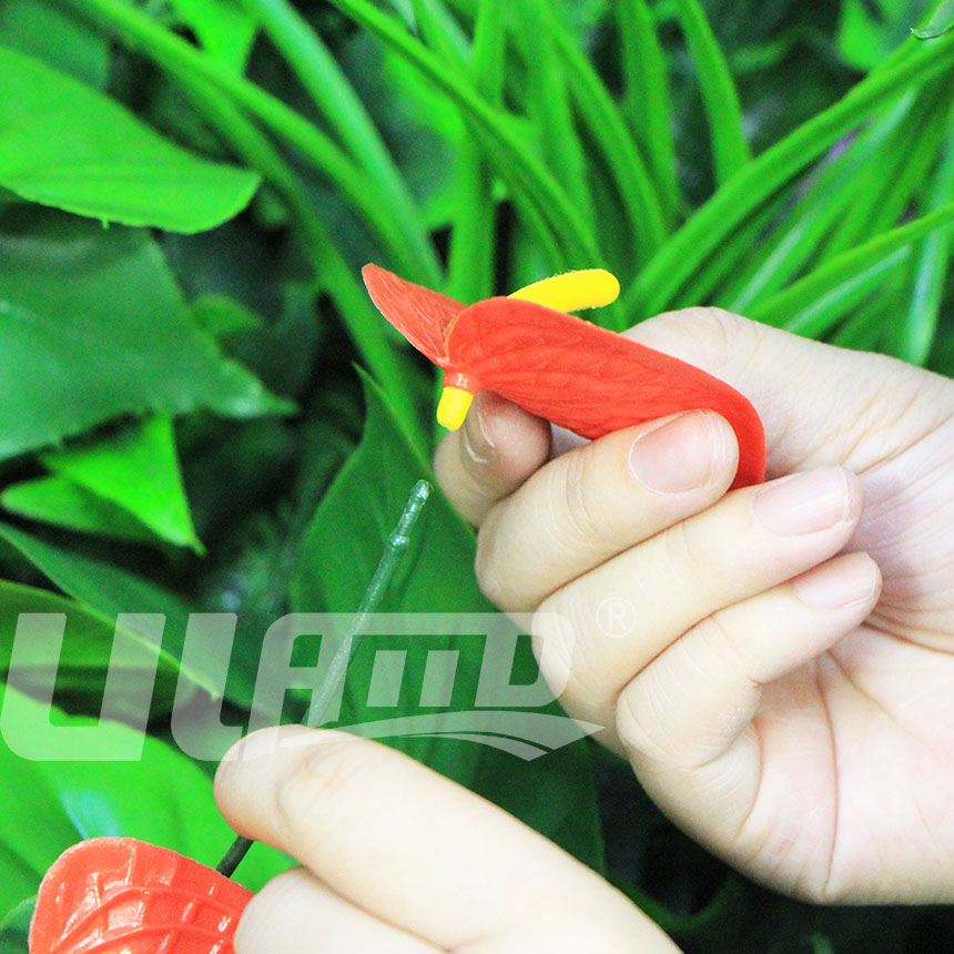 仿真植物紅掌細節圖