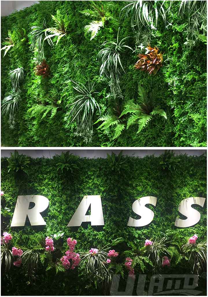 室內立體植物墻效果圖