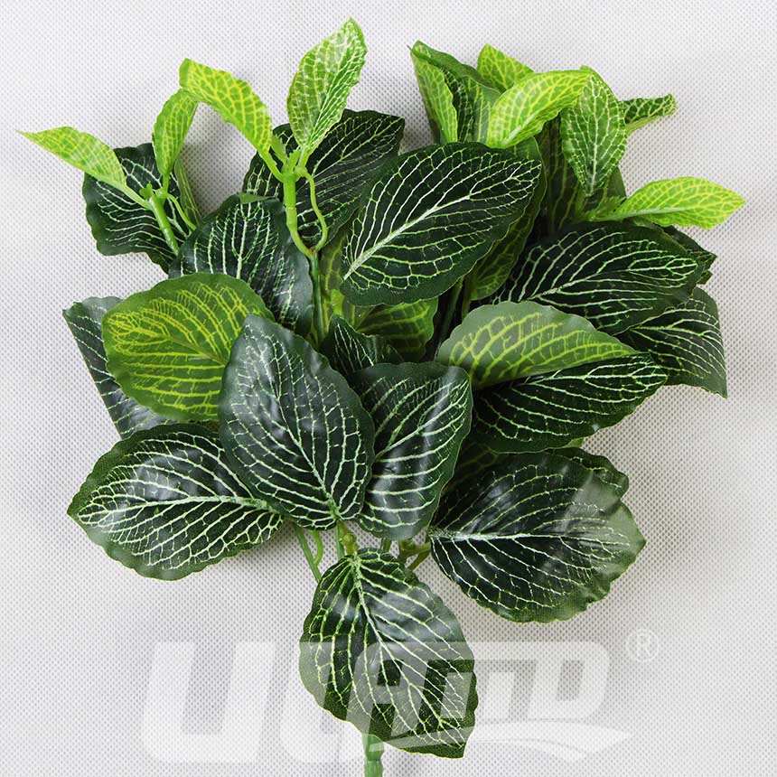 仿真植物網紋草