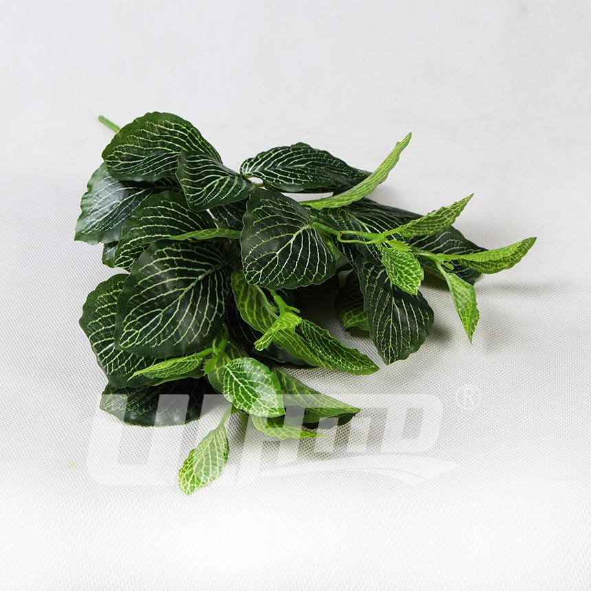 仿真植物網紋草