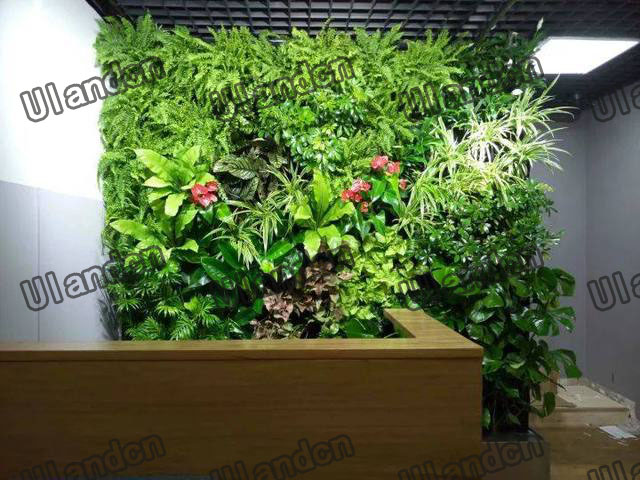 公司前臺仿真植物墻