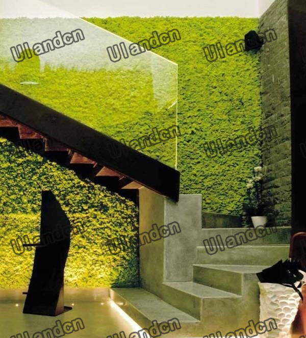 仿真植物墻-酒店裝飾