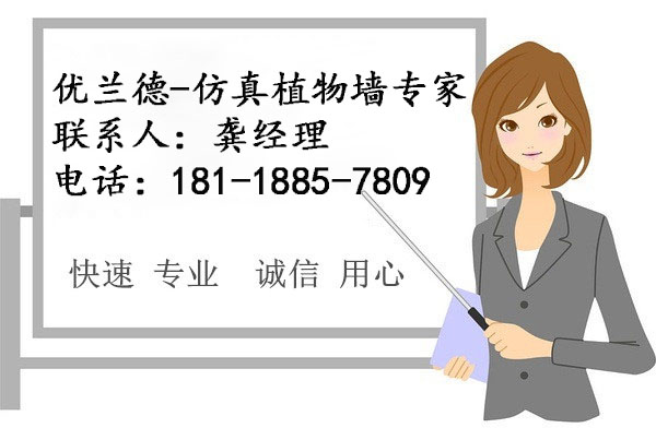 優(yōu)蘭德Ulandcn,仿真植物墻專家!