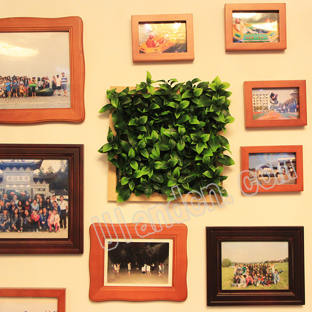 優(yōu)蘭德Ulandcn,仿真植物墻專家!