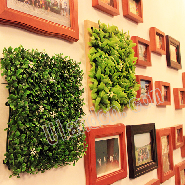 優(yōu)蘭德Ulandcn,仿真植物墻專家!