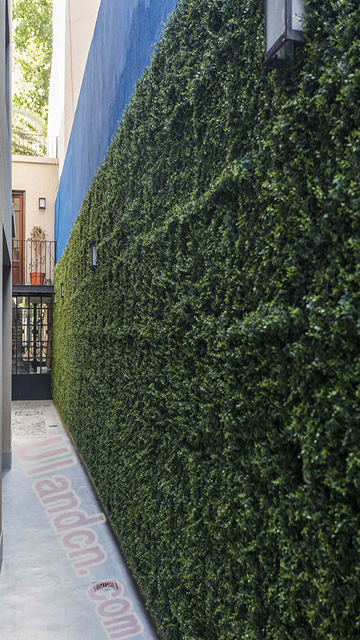 優蘭德Ulandcn,仿真植物墻專家!