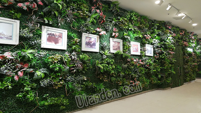優(yōu)蘭德Uland,仿真植物墻專家!