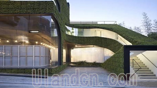 優蘭德Uland,仿真植物墻專家!