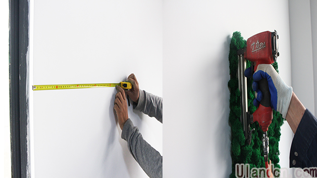 永生苔蘚品牌-優蘭德