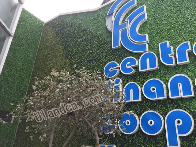 仿真植物墻廠家,優(yōu)蘭德