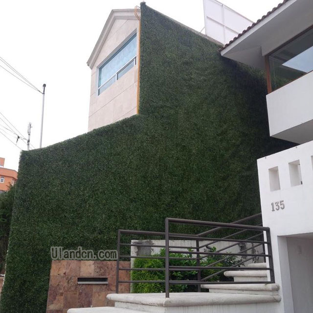 仿真植物墻廠家,優(yōu)蘭德