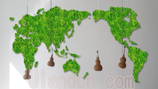 永生苔蘚植物墻廠家,優(yōu)蘭德。