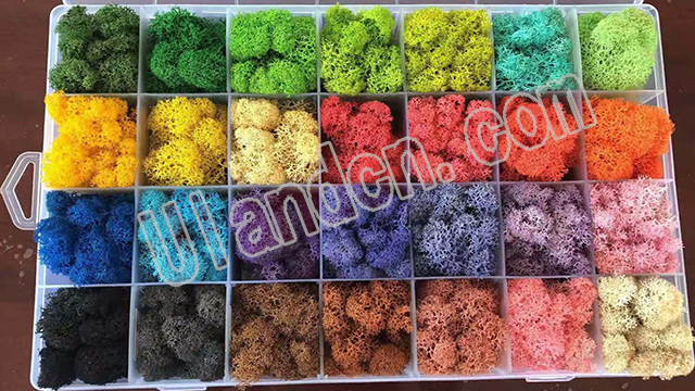 永生苔蘚生產(chǎn)廠家,優(yōu)蘭德!