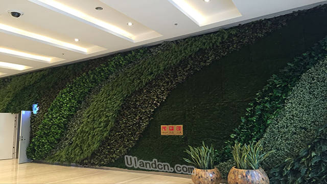 優蘭德仿真植物墻