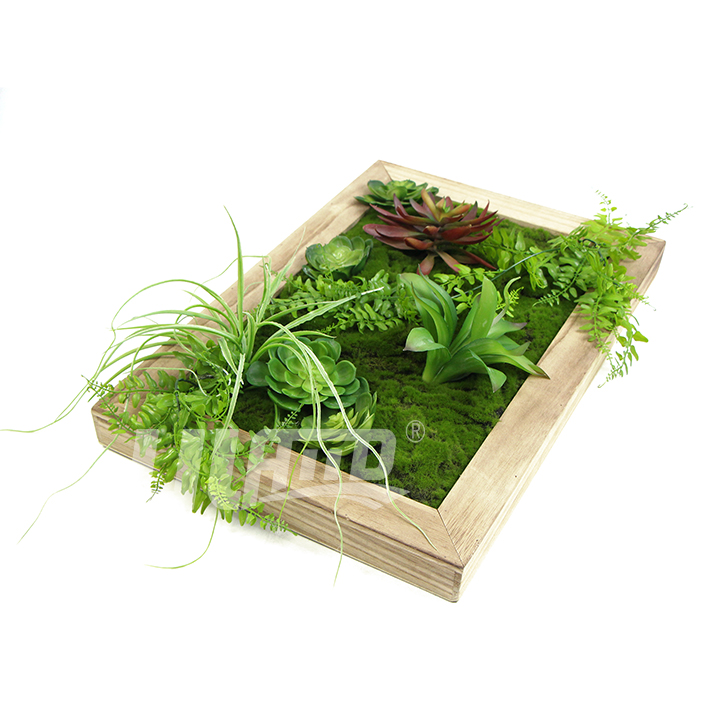 人造多肉苔蘚相框