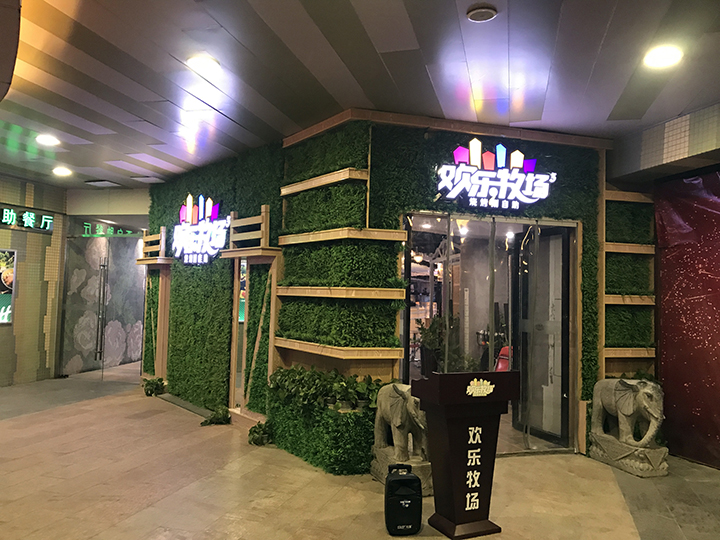 餐飲行業室內仿真植物墻