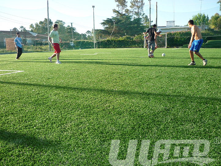 運動型人造草坪