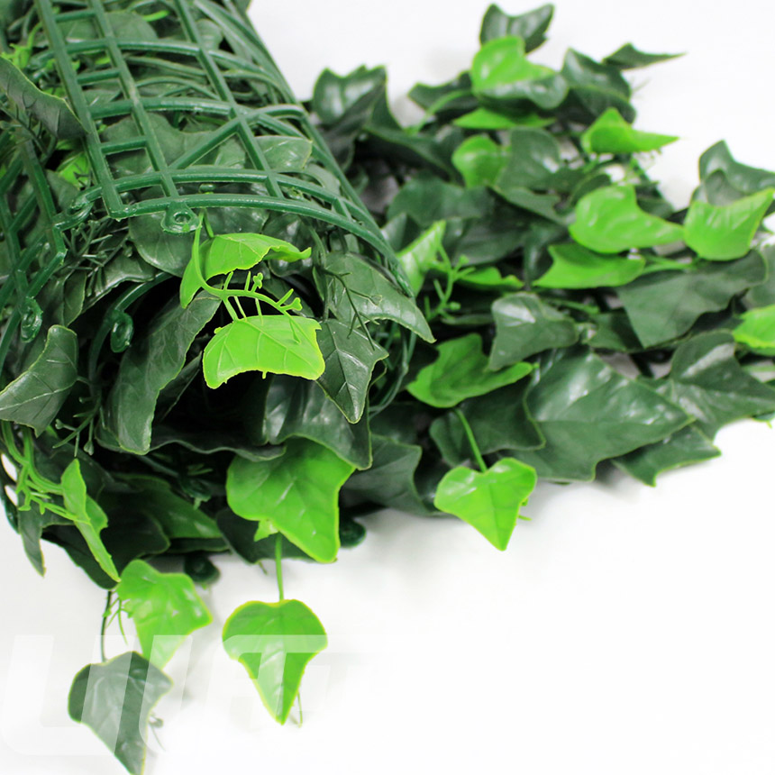 仿真植物A005卷狀圖