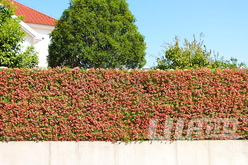 別墅圍墻效果圖