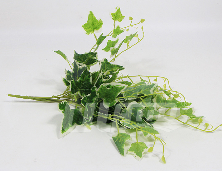 仿真植物白邊地瓜葉