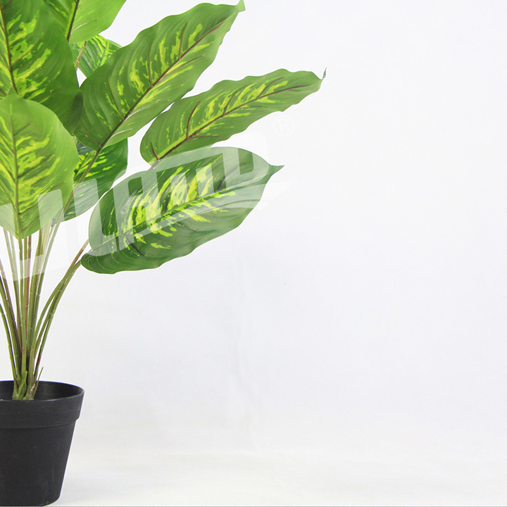 仿真黃心細綠蘿