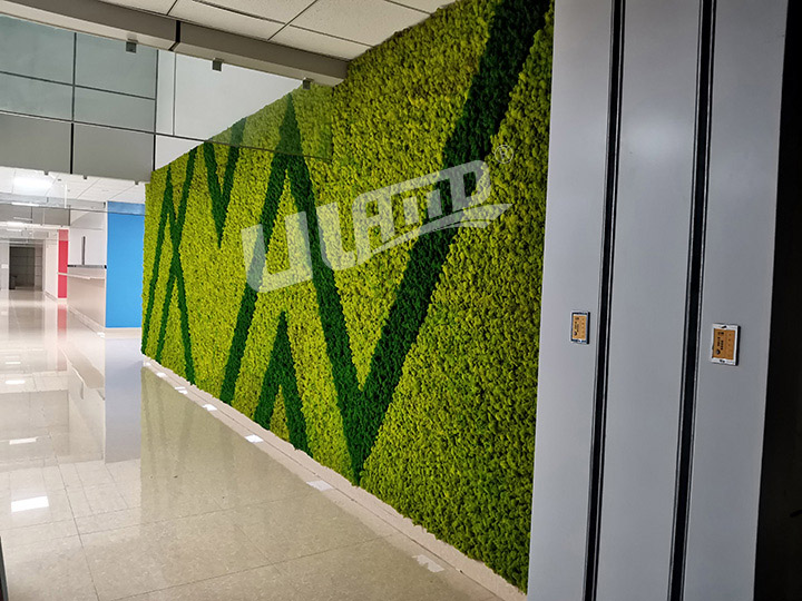 教學(xué)樓永生苔蘚墻案例