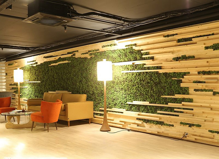 室內苔蘚植物景觀墻