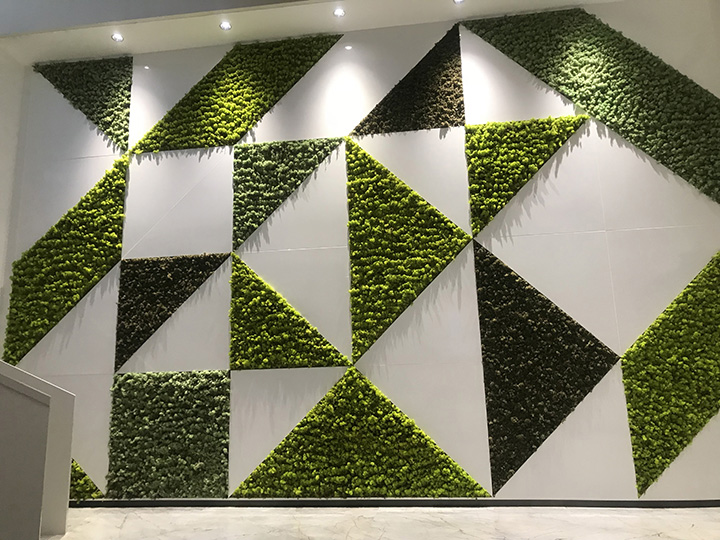 簡約型苔蘚墻效果圖