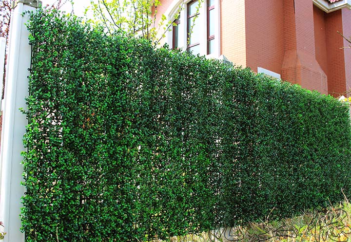 室外庭院植物隔斷墻工程案例
