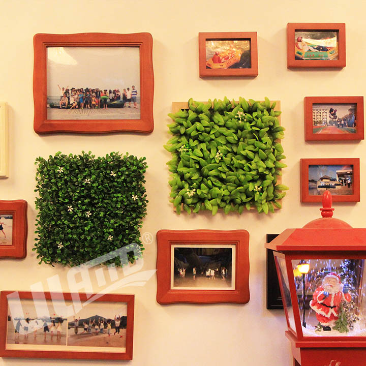 辦公室墻面掛相框植物