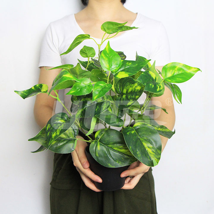 仿真小盆栽豬心草