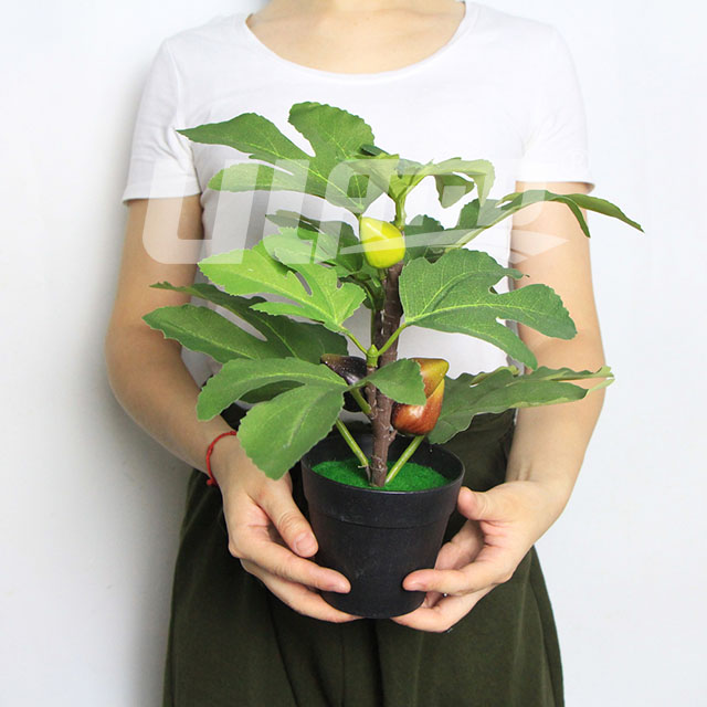 仿真小盆栽無花果