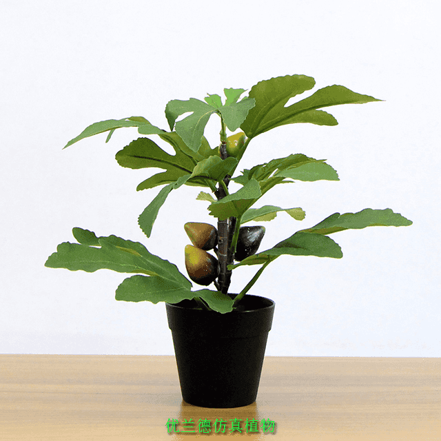 仿真小盆栽無花果