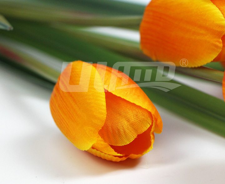 仿真植物花黃色郁金香