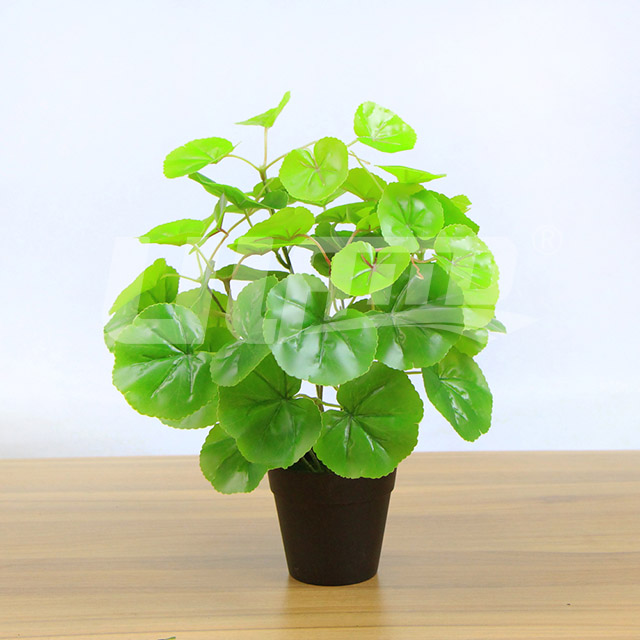 仿真小盆栽綠海棠