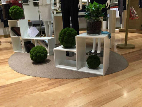 苔蘚植物球工程效果圖