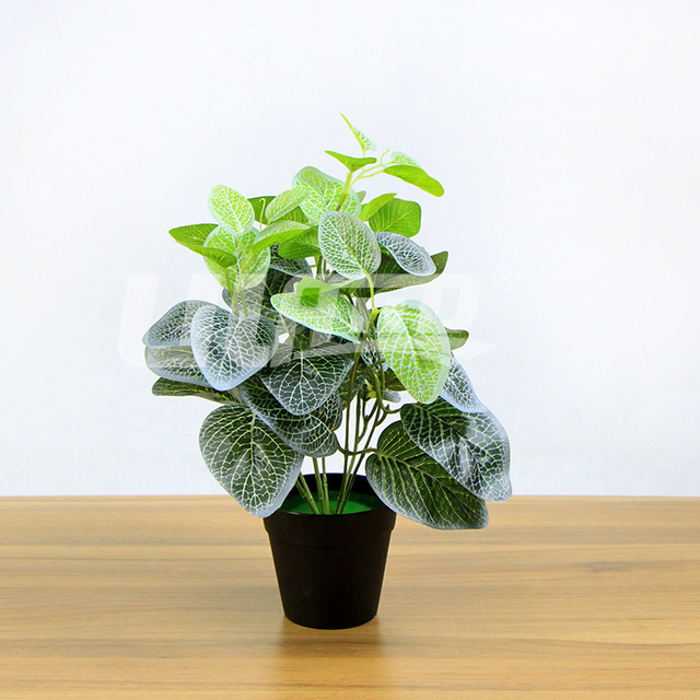 仿真植物小盆栽白網紋草
