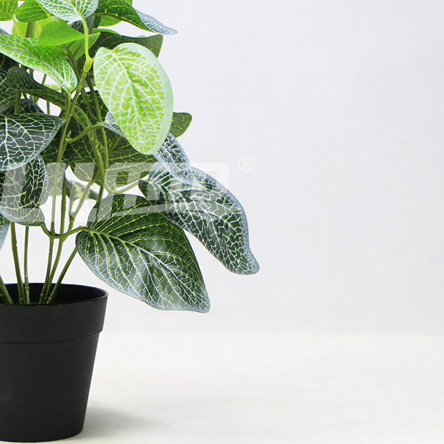 仿真小盆栽白網紋草側面細節圖