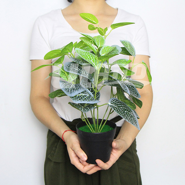 仿真植物小盆栽白網紋草