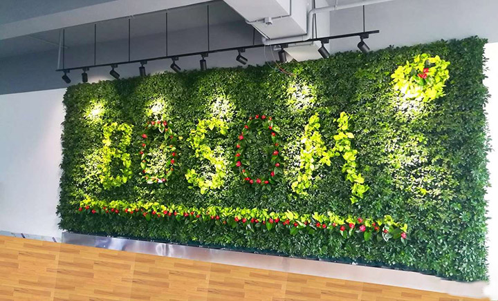 裝修植物墻